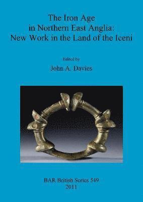 bokomslag The Iron Age in Northern East Anglia: New Work in the Land of the Iceni