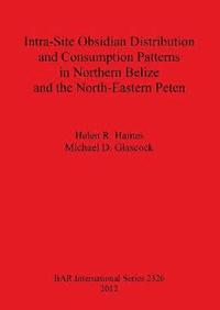 bokomslag Intra-Site Obsidian Distribution and Consumption Patterns in Northern Belize and the North-Eastern Peten