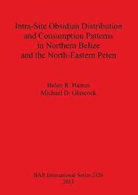 bokomslag Intra-Site Obsidian Distribution and Consumption Patterns in Northern Belize and the North-Eastern Peten