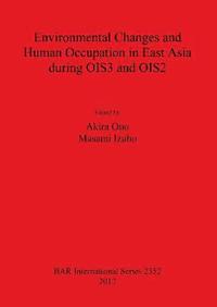 bokomslag Environmental Changes and Human Occupation in East Asia during OIS3 and OIS2
