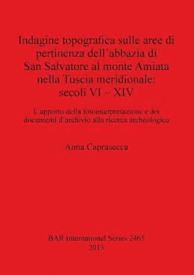 bokomslag Indagine topografica sulle aree di pertinenza dell'abbazia di San Salvatore al monte Amiata nella Tuscia meridionale: secoli VI - XIV