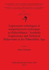 bokomslag Expressions esthtiques et comportements techniques au Palolithique / Aesthetic Expressions and Technical Behaviours in the Palaeolithic Age