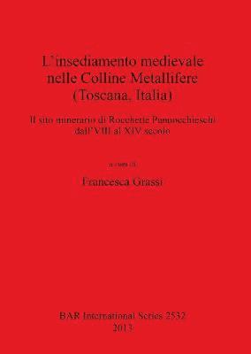 bokomslag L' insediamento medievale nelle Colline Metallifere (Toscana Italia)