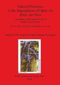 bokomslag Natural Processes in the Degradation of Open-Air Rock-Art Sites