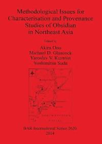 bokomslag Methodological Issues for Characterisation and Provenance Studies of Obsidian in Northeast Asia
