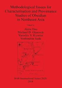 bokomslag Methodological Issues for Characterisation and Provenance Studies of Obsidian in Northeast Asia