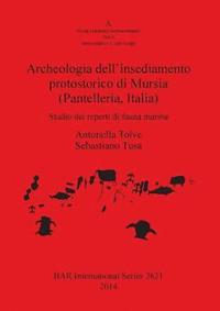 bokomslag Archeologia dell'insediamento protostorico di Mursia (Pantelleria Italia)