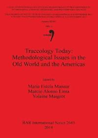 bokomslag Traceology Today: Methodological Issues in the Old World and the Americas
