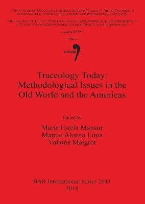 bokomslag Traceology Today: Methodological Issues in the Old World and the Americas