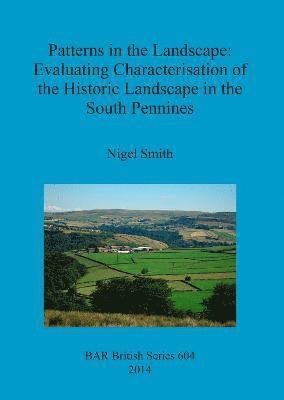 Nigel Smith - Patterns in the Landscape, Häftad