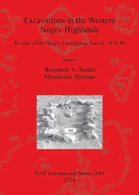 bokomslag Excavations in the Western Negev Highlands