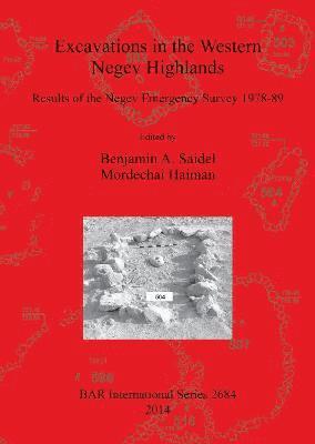 Mordechai Haiman, Benjamin A Saidel, Benjamin A. Saidel, Benjamin  A. Saidel - Excavations in the Western Negev Highlands, Häftad