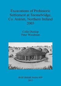 bokomslag Excavations of Prehistoric Settlement at Toomebridge Co. Antrim Northern Ireland 2003