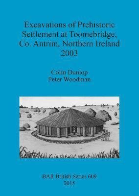 Excavations of Prehistoric Settlement at Toomebridge Co. Antrim Northern Ireland 2003 1