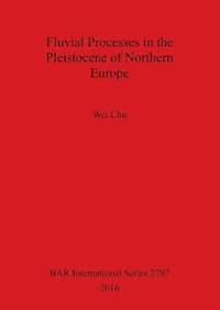 bokomslag Fluvial processes in the Pleistocene of northern Europe
