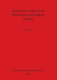 bokomslag Fluvial processes in the Pleistocene of northern Europe