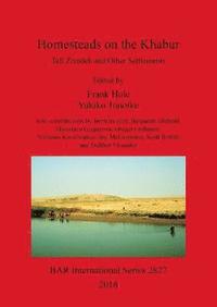 bokomslag Excavation report for the Yale University excavations at Tell Ziyadeh (Khabur Basin, Syria)