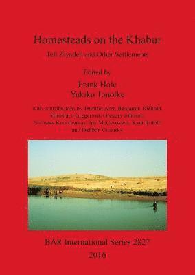 Frank Hole, Yukiko Tonoike - Excavation report for the Yale University excavations at Tell Ziyadeh (Khabur Basin, Syria), Häftad