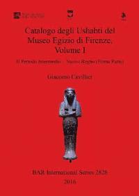 bokomslag Catalogo degli Ushabti del Museo Egizio di Firenze, Volume I