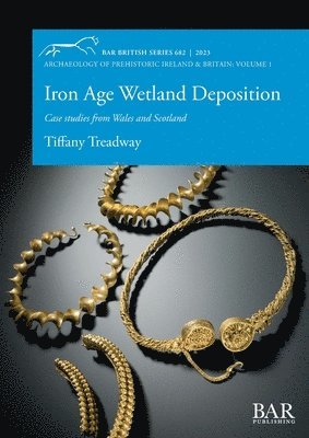 Tiffany Treadway - Iron Age Wetland Deposition, Häftad