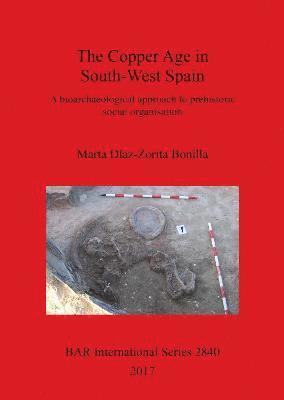 bokomslag The Copper Age in South-West Spain