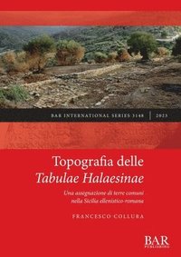 bokomslag Topografia delle Tabulae Halaesinae