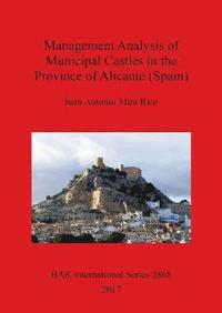 bokomslag Management Analysis of Municipal Castles in the Province of Alicante (Spain)