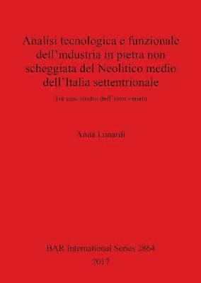 bokomslag Analisi tecnologica e funzionale dell'industria in pietra non scheggiata del Neolitico medio dell'Italia settentrionale