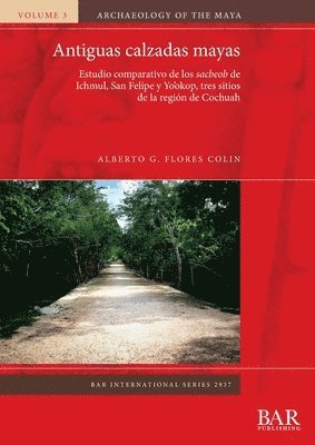 bokomslag Antiguas calzadas mayas