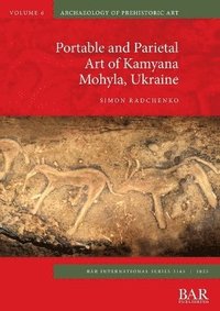 bokomslag Portable and Parietal Art of Kamyana Mohyla, Ukraine