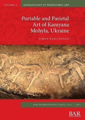 Simon Radchenko - Portable and Parietal Art of Kamyana Mohyla, Ukraine, Häftad