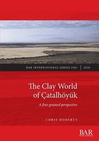 bokomslag The Clay World of atalhyk
