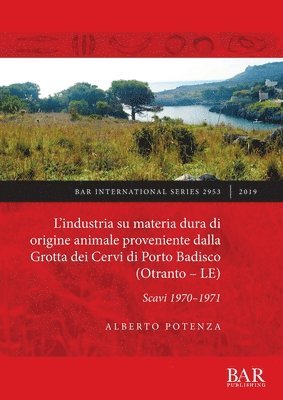 Alberto Potenza - industria su materia dura di origine animale proveniente dalla Grotta dei Cervi di Porto Badisco (Otranto - LE), Häftad