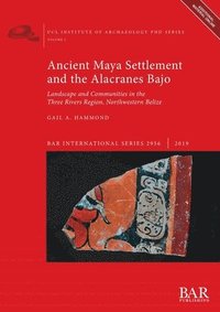 bokomslag Ancient Maya Settlement and the Alacranes Bajo
