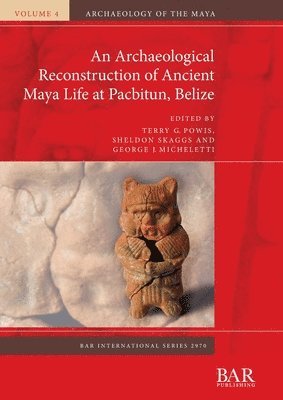 Terry G. Powis, Sheldon Skaggs, George J. Micheletti, Terry G., Powis, Sheldon, Skaggs - Archaeological Reconstruction of Ancient Maya Life at Pacbitun, Belize, Häftad
