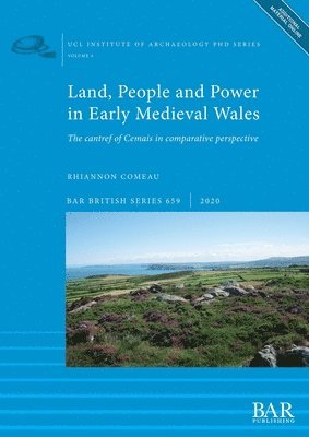 bokomslag Land, People and Power in Early Medieval Wales