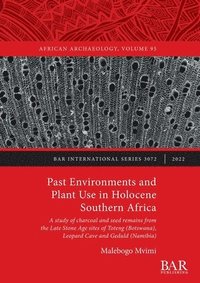 bokomslag Past Environments and Plant Use in Holocene Southern Africa