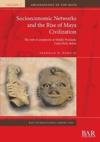 bokomslag Socioeconomic Networks and the Rise of Maya Civilization