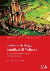 bokomslag Poteri e strategie familiari di Volterra