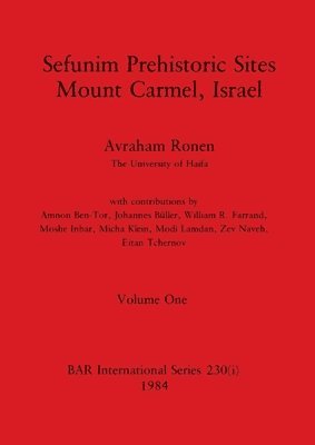 Avraham Ronen - Sefunim Prehistoric Sites Mount Carmel, Israel, Volume i, Häftad