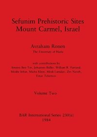 bokomslag Sefunim Prehistoric Sites Mount Carmel, Israel, Volume ii