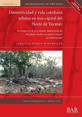 bokomslag Domesticidad y vida cotidiana urbana en una capital del Norte de Yucatn