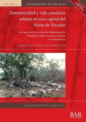 Virginia Ochoa-Winemiller - Domesticidad y vida cotidiana urbana en una capital del Norte de Yucatán, Häftad