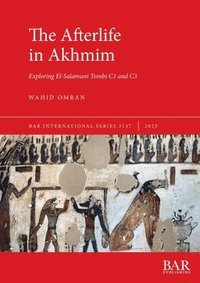 bokomslag The Afterlife in Akhmim