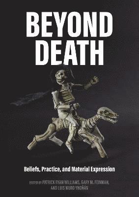 bokomslag Beyond Death