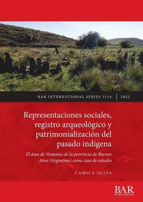 Camila Oliva - Representaciones sociales, registro arqueológico y patrimonialización del pasado indígena, Häftad