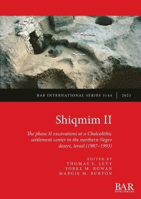 bokomslag Shiqmim II