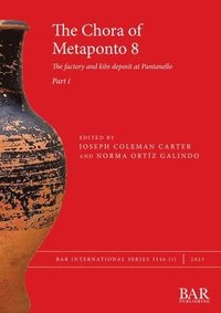 bokomslag The Chora of Metaponto 8, Part i