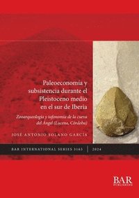 bokomslag Paleoeconoma y subsistencia durante el Pleistoceno medio en el sur de Iberia