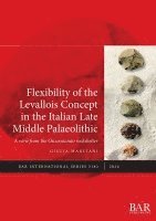 bokomslag Flexibility of the Levallois Concept in the Italian Late Middle Palaeolithic